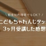 【年長4～6月】こどもちゃれんじタッチの受講感想【軽度知的障害】