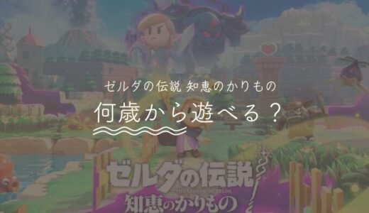 ゼルダの伝説 知恵のかりものは何歳から遊べる？小学生も楽しめる？