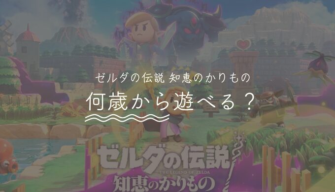 ゼルダの伝説 知恵のかりものは何歳から遊べる？小学生も楽しめる？